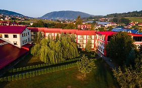 Hotel Litwinski